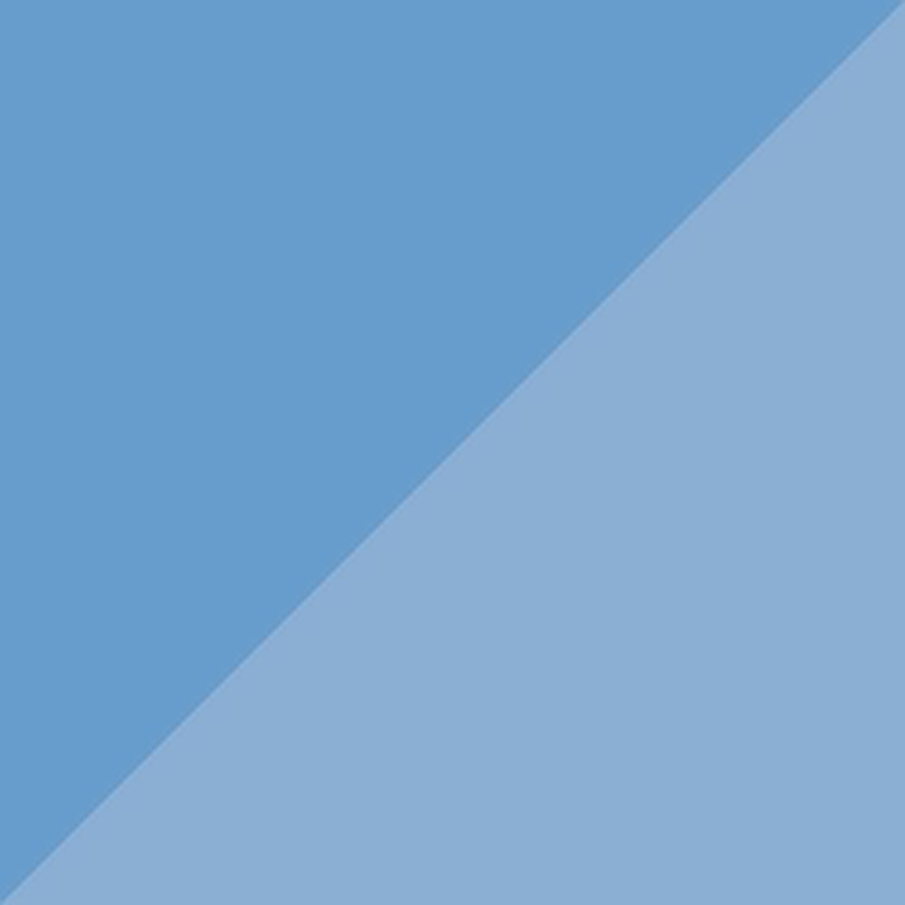 Puma Easy Rider "Team Light Blue" (W) [400773-38]